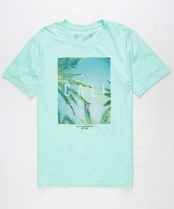 NEFF Cali Palm Mens T-Shirt NL