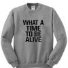 What a time sweatshirt| NL