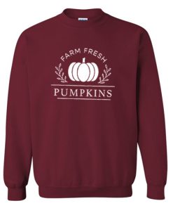 Pumpkins Sweatshirt RF