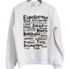 Expelliarmus Riddikulus Harry Potter Sweatshirt