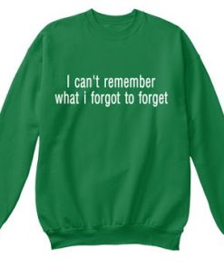 I Cant Remember What I Forgot to Forget Sweatshirt