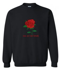 You are my fetish Sweatshirt KM