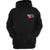 Faze Champion hoodie