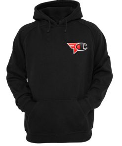 Faze Champion hoodie